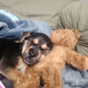 Meet your Posher, Steven